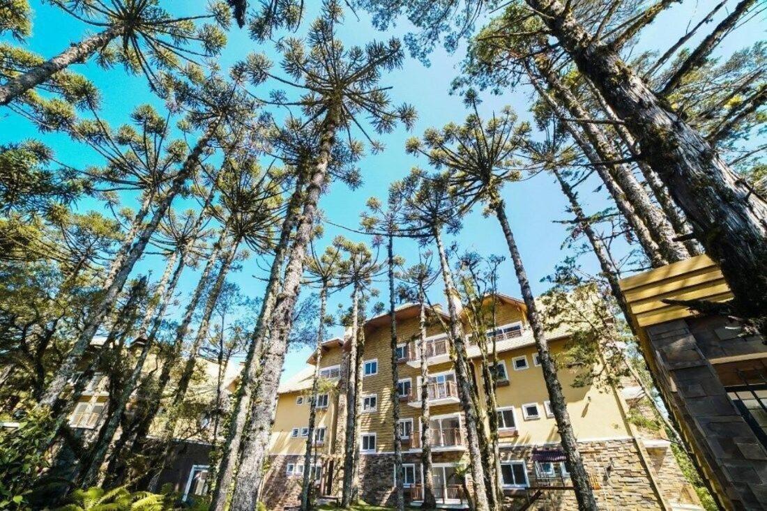 103/3 Apto Com Piscina Aquecida Грамаду Экстерьер фото
